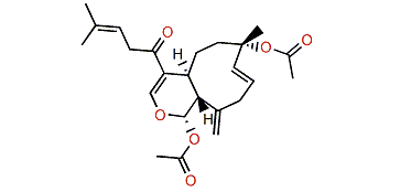 Tsitsixenicin D